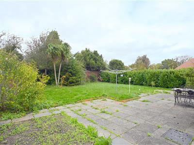 Picture 2